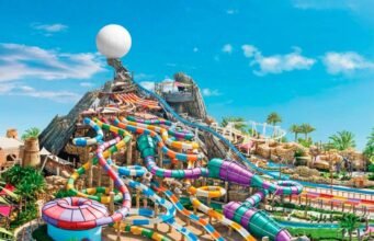 How to Choose the Best Water Park in California for Your Next Trip