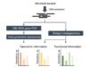16S rRNA Sequencing vs. Metagenome Sequencing: A Guide for Selection 16s-rrna-sequencing-vs-metagenome-sequencing