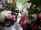 Same-Day Flower Delivery in North York – Brighten Someone’s Day with Bloomen