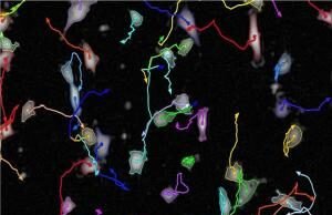 Decoding the Role of Linkers in Antibody-Drug Conjugates: Balancing Stability and Release