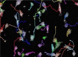 Decoding the Role of Linkers in Antibody-Drug Conjugates: Balancing Stability and Release