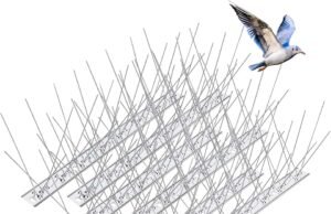 Bird Spikes for Window AC Units: A Practical Safety Approach