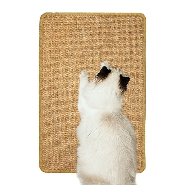L Shaped scratcher