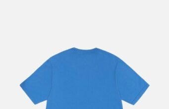 The Best T-Shirts Hoodie for Relaxing at Home Stussy Edition