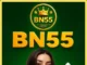 BN55 Game Best Earning App in Asia Get Rael Money BN55 Game