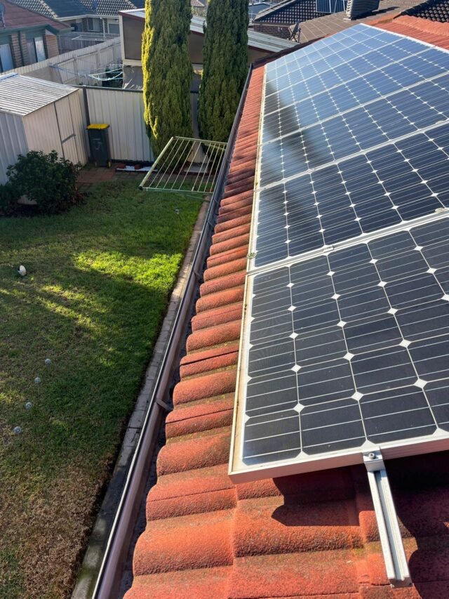 Gutter Cleaning