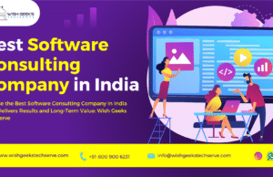 Choose the Best Software Consulting Company in India That Delivers Results and Long-Term Value: Wish Geeks Techserve