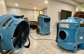 Beyond Drying: Mastering the Full Process of Water Damage Restoration