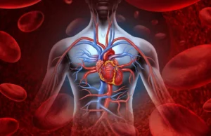 How to Improve Blood Circulation Naturally Blood Circulation