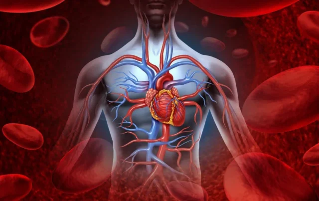 Blood Circulation