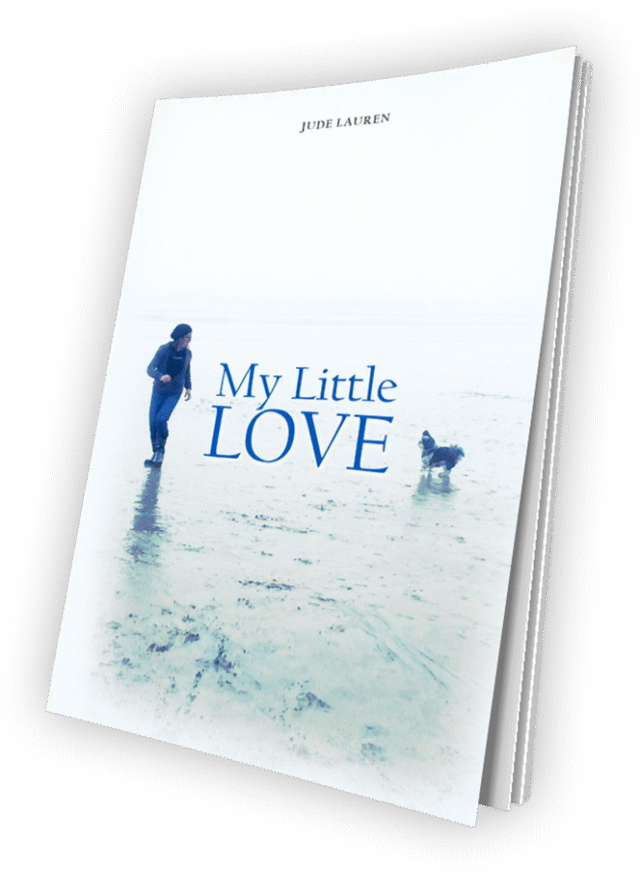 Book about Reality by Writer Jude Laurén