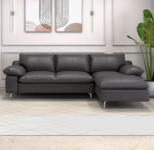 L shape sofa