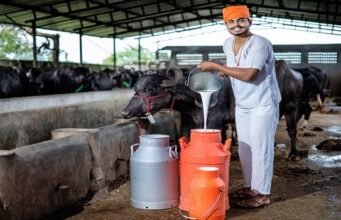 Need Funding? Compare Dairy Farm Loan and Cash Credit Loan Benefits Dairy Farm Loan