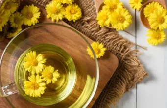 Health Benefits of Dandelion Tea | Uses of Dandelion Plant in Pakistan Dandelion Plant in Pakistan