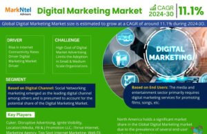 Digital Marketing Market Key Players, Trends and Forecast Report 2030