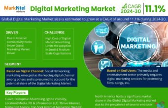 Digital Marketing Market Key Players, Trends and Forecast Report 2030