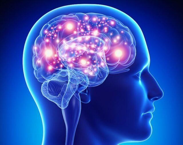 What Is Epilepsi