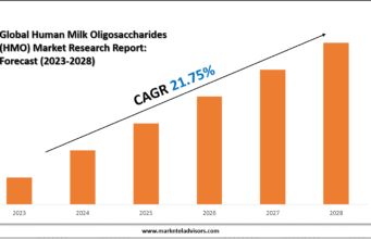 Human Milk Oligosaccharides (HMO) Market Key Players, Trends and Forecast Report 2030 Global Human Milk Oligosaccharides (HMO) Market Research Report