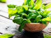 How Basil Can Help Manage Asthma Naturally How Basil Can Help Manage Asthma Naturally