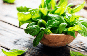 How Basil Can Help Manage Asthma Naturally How Basil Can Help Manage Asthma Naturally