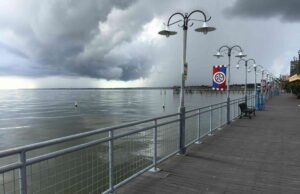 Wrought Iron Gate Trends: From Classic Scrolls to Modern Minimalism