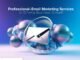 Why Professional Email Marketing Services Are Essential for Growth email marketing campaign services
