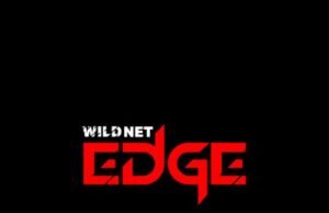 Is Your Current CRM Limiting Growth? Discover Wildnet Edge’s Custom Solutions.