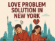 Discover the Best Love Problem Solution in New York with Master Rajdutt Love Problem Solution in New York
