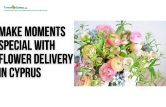 Make Moments Special with Flower Delivery in Cyprus cyprus flowers