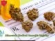 10 Facts About the Minnesota Medical Cannabis Registry By Top Health Center Minnesota Medical Cannabis Registry