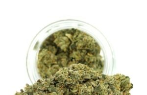 Hybrid Flower Benefits: Why Balanced Strains Are Perfect for Most Users hybrid flower online