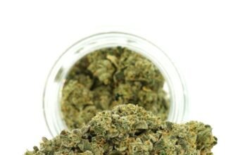 Hybrid Flower Benefits: Why Balanced Strains Are Perfect for Most Users hybrid flower online