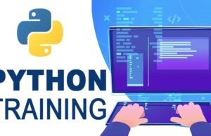 How to Use Python for Web Scraping and Data Extraction? Python Cours