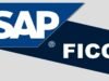Can Non-Tech Persons Use SAP FICO? SAP FICO