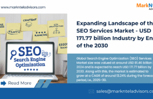 SEO Services Market Companies, Scope and Forecast Overview 2030 SEO Services Market