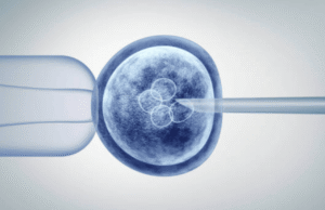 Understanding Stem Cells Therapy at Dynasty Clinic Stem Cells Therapy