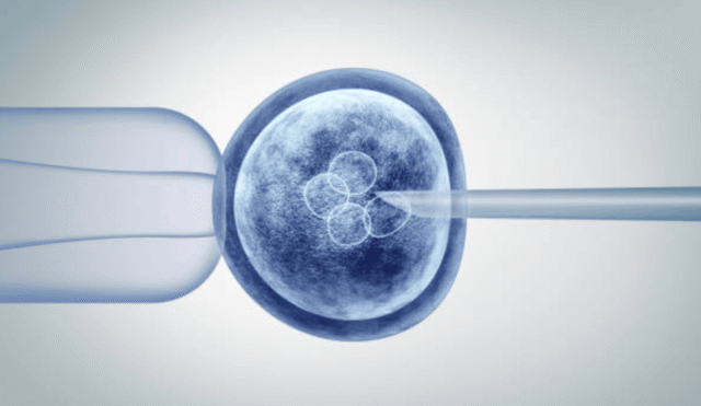 Stem Cells Therapy