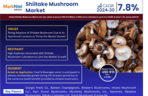 In-Depth Research on Shiitake Mushroom Market | Drivers & Opportunities