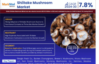 In-Depth Research on Shiitake Mushroom Market | Drivers & Opportunities
