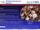 In-Depth Research on Shiitake Mushroom Market | Drivers & Opportunities