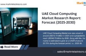 UAE Cloud Computing Market Industry Trends and Company Outlook 2030 UAE Cloud Computing Market