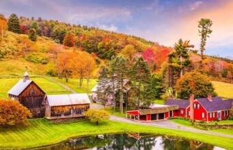 The Beauty of Rural Living: Why Nature Should Be Part of Your Daily Life