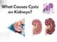 What Causes Cysts on Kidneys? What Causes Cysts on Kidneys