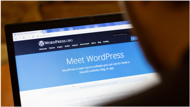 download WordPress theme free