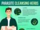 How Do U Know If U Have Parasites After Travel? Detailed Analysis