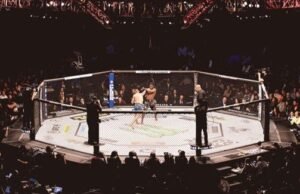 Best Martial Arts Academy in Abu Dhabi Elevate Your Training Experience best martial arts academy in Abu Dhabi