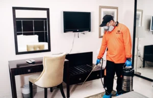 Professional Pest Control Services in Dubai: Protect Your Home and Business pest control in dubai