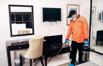 Professional Pest Control Services in Dubai: Protect Your Home and Business pest control in dubai
