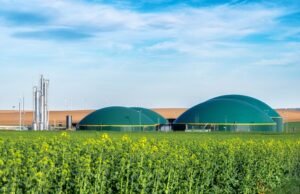 Report on Bio-Energy Manufacturing Plant Detailing Business Plan and Material Requirements