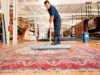 Carpet Cleaners Newcastle: Your Local Solution for a Fresher, Healthier Home